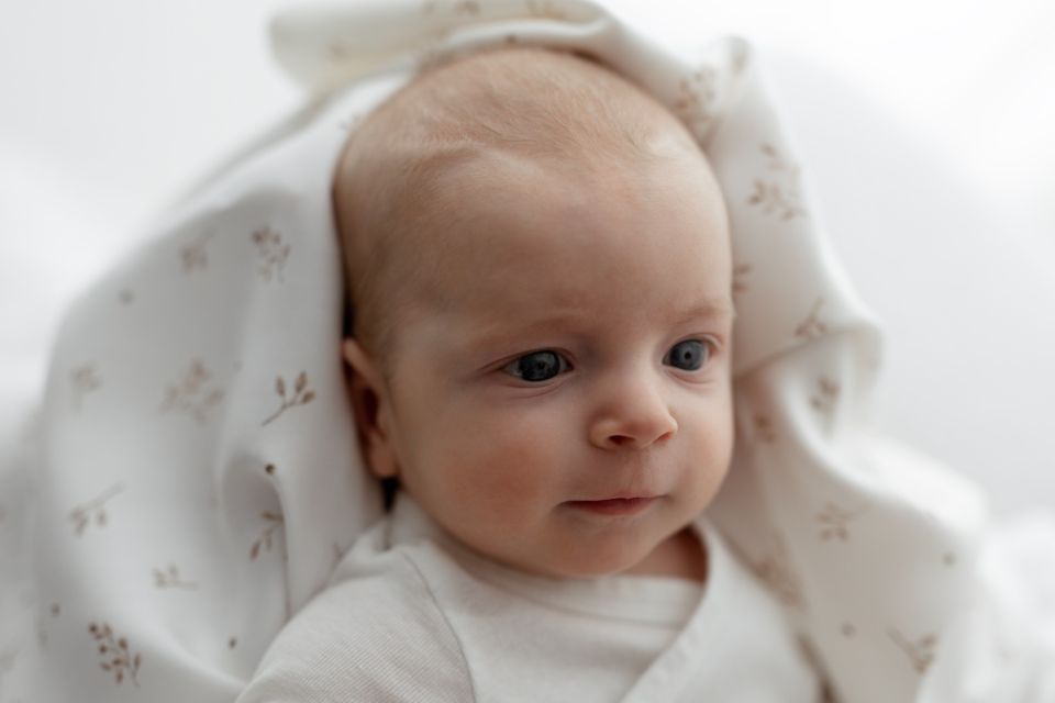 Bamboo swaddle blanket 100x120 - twigs - MY MEMI