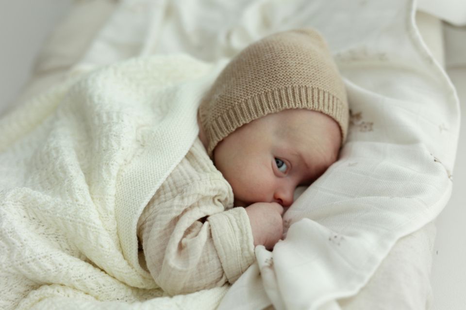 Bamboo muslin diaper 65x65 - alpacas